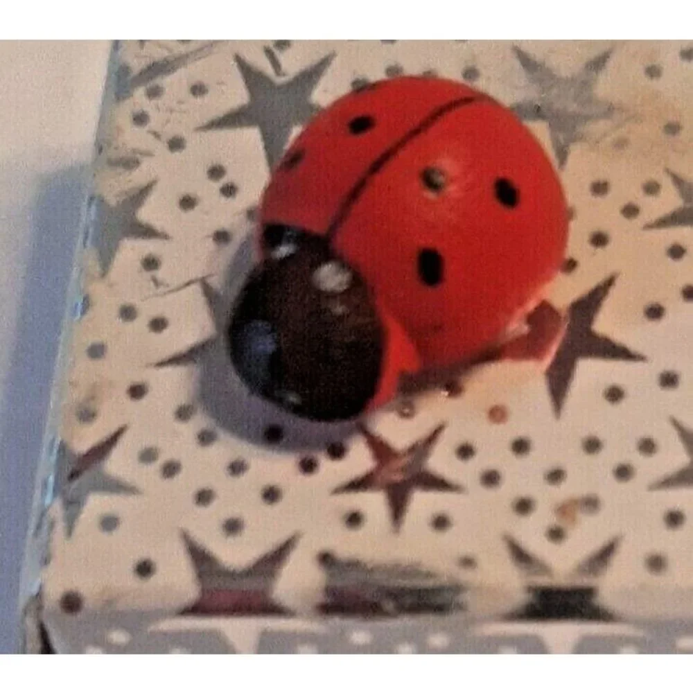 Tiny Ladybug Gift Box Empty 1.25 Inches Square Silver Stars